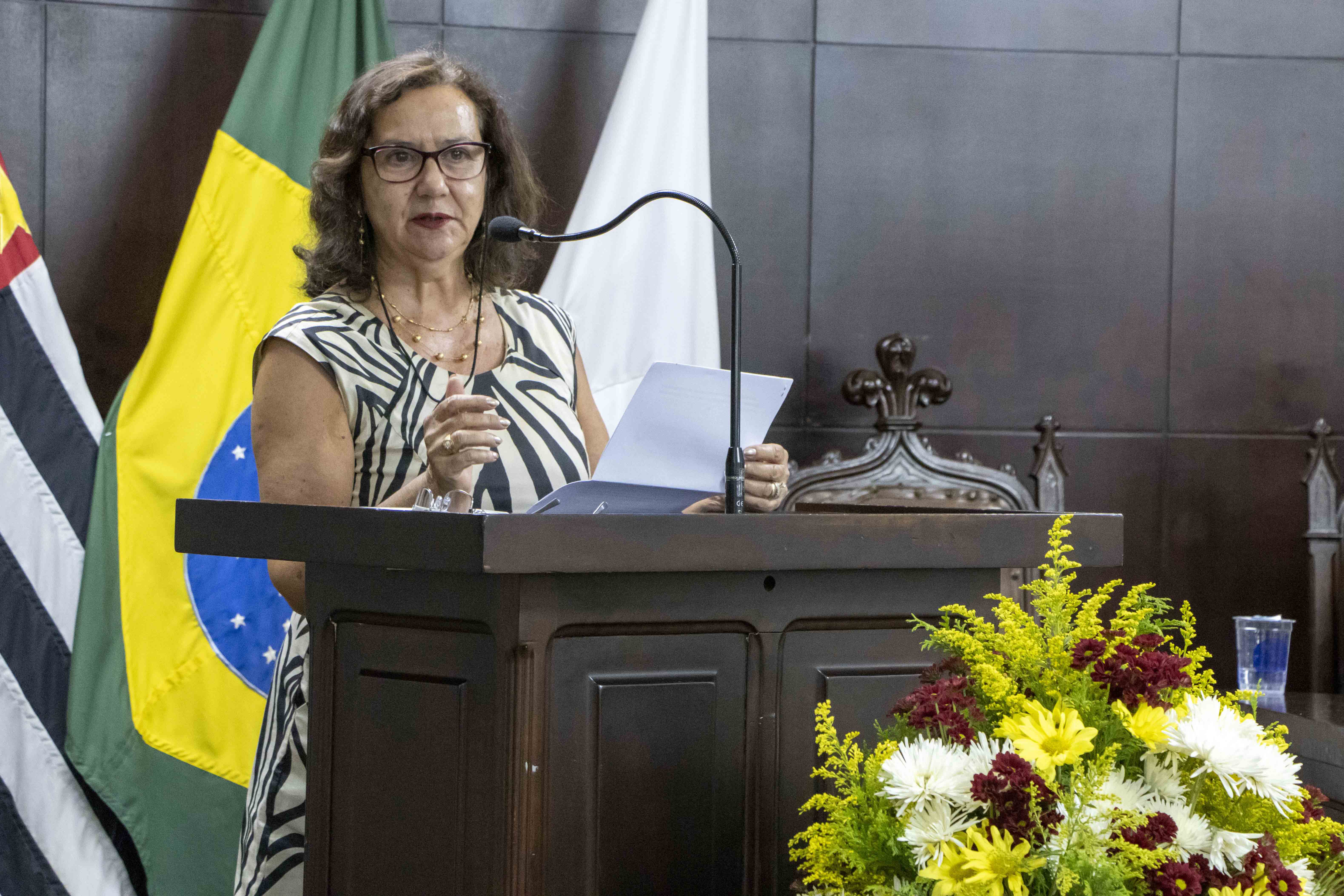 Elizabeth Sastre fala em nome das homenageadas pelo "Dia do/a Assistente Social"